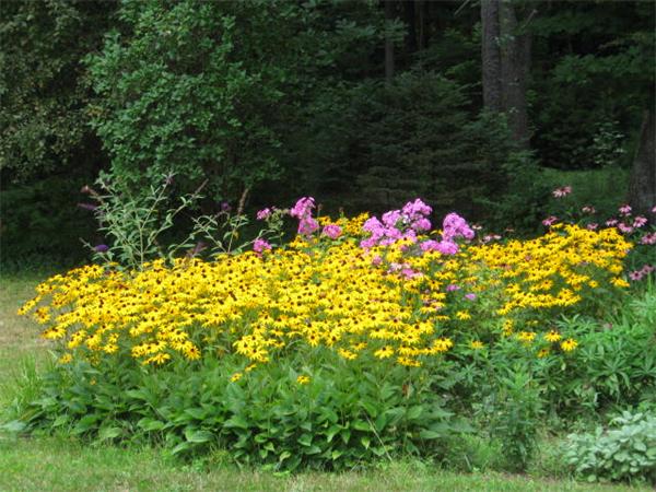 49 East Hill Road Brimfield, MA 01010 - Photo 18 of 22 Gallery Image 18