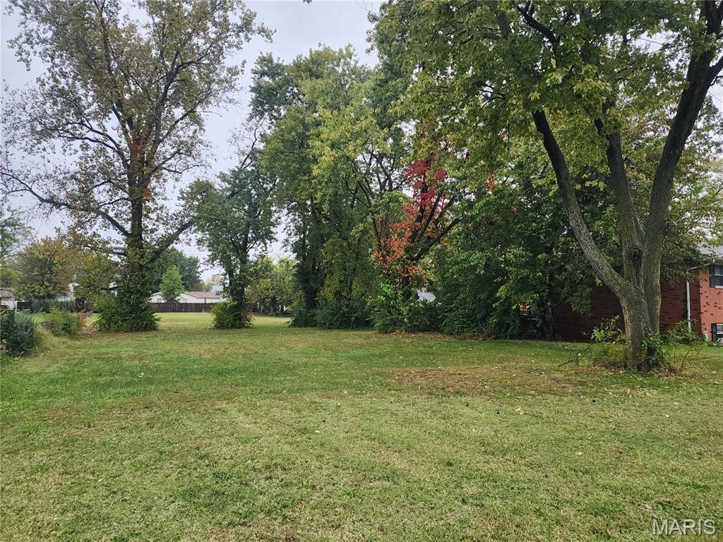 5147 Old Alton Road Granite City, IL 62040 - Photo 4 of 6