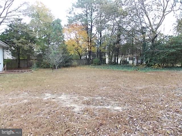 723 Riverside Drive Salisbury, MD 21801 - Photo 18 of 19 Large Backyard