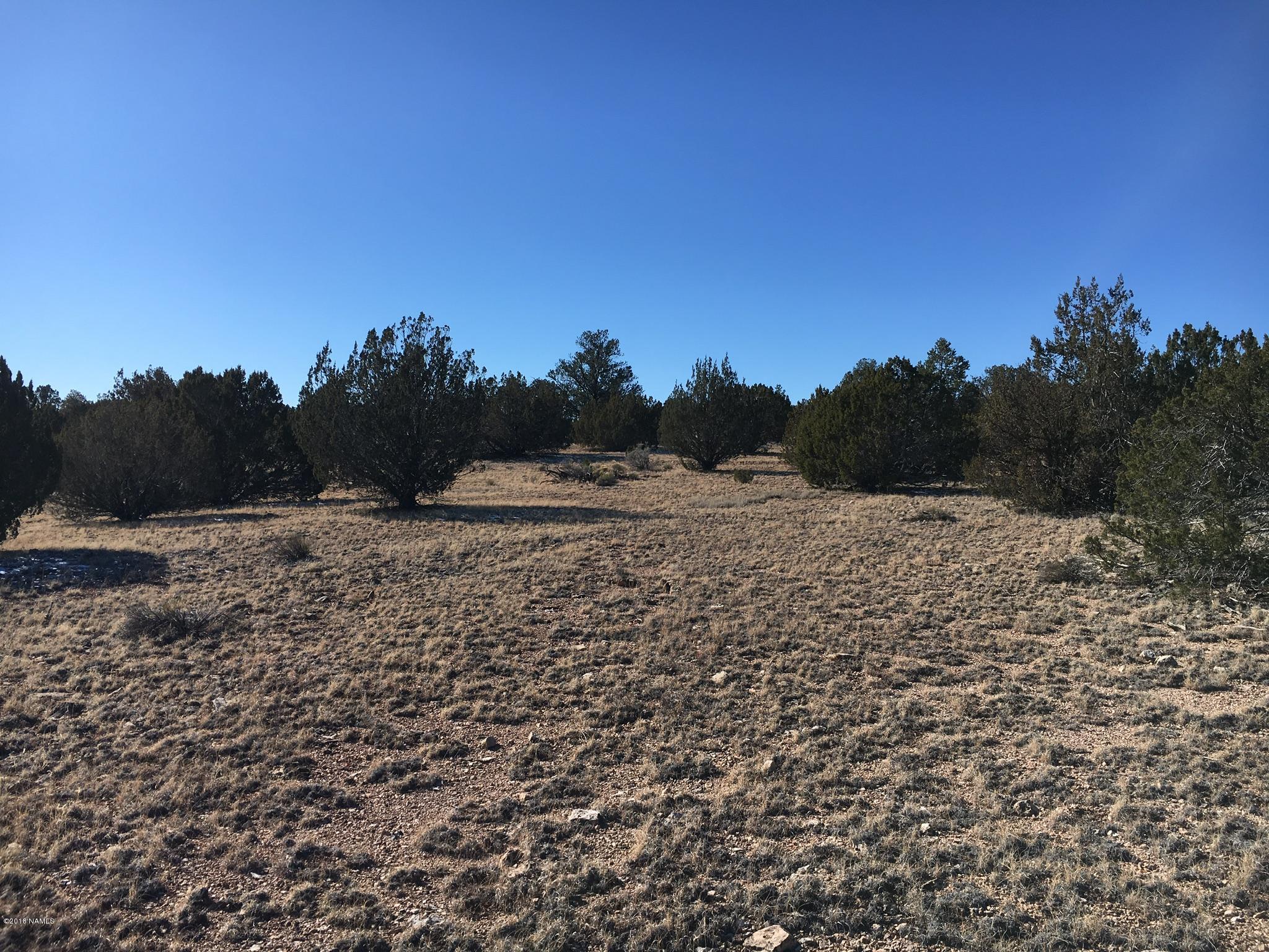 5120 Four Hills Ranch Road Williams, AZ 86046 - Photo 3 of 10 0A80837A-C4ED-4AE7-B19F-B9645B323D63