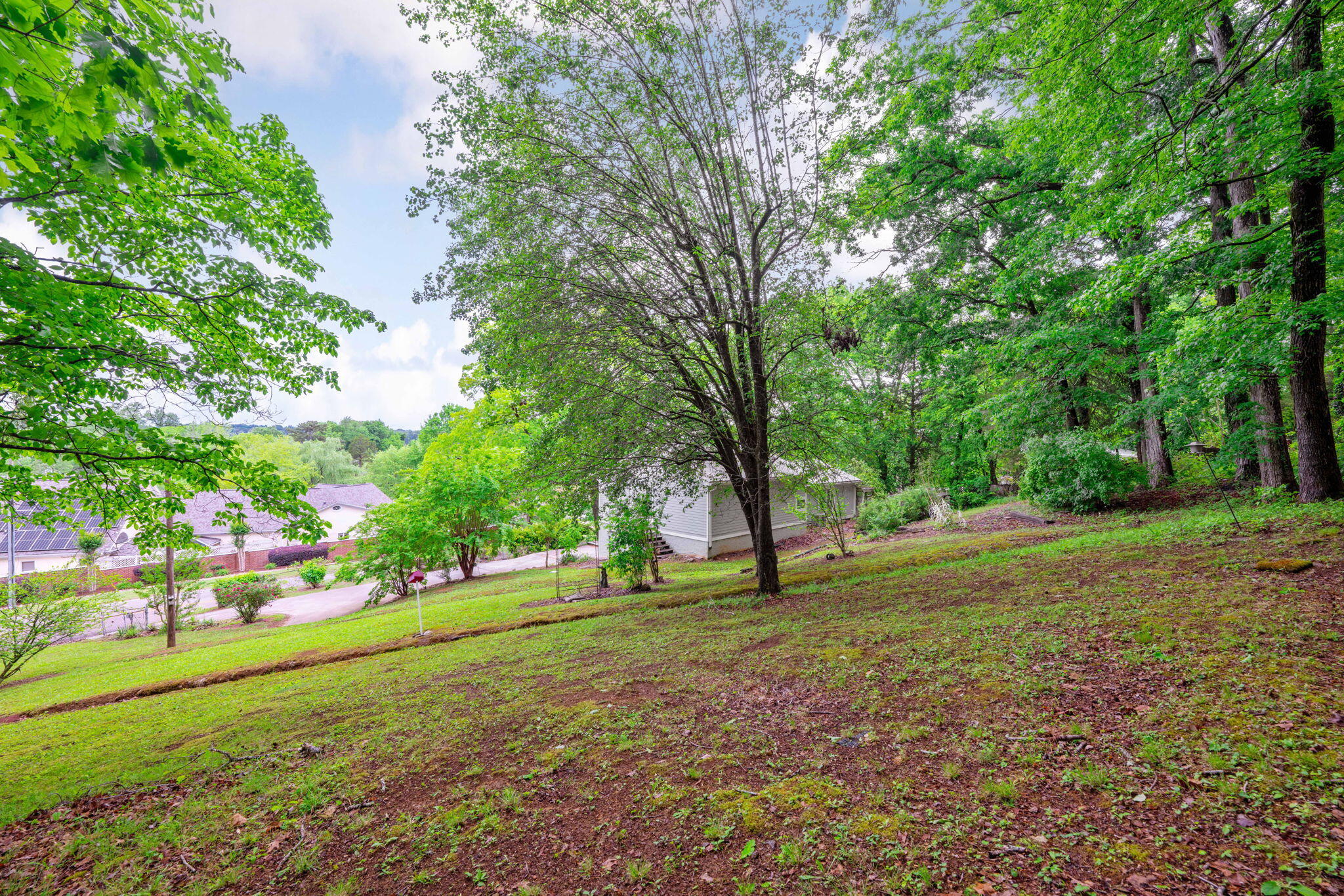 9114 Harrison Bay Road Harrison, TN 37341 - Photo 31 of 44 31-web-or-mls-DSC_0300
