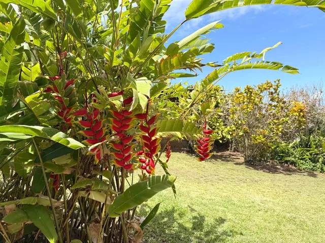 $1,375,000 | 219 Ekoa Place, Wailuku, HI 96793