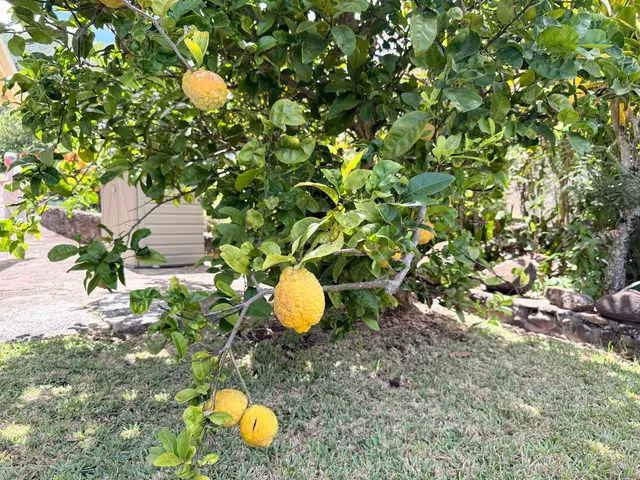 $1,375,000 | 219 Ekoa Place, Wailuku, HI 96793