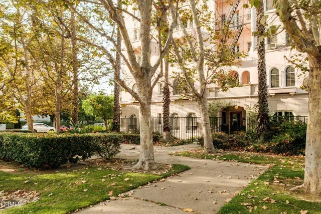 a view of road with large trees