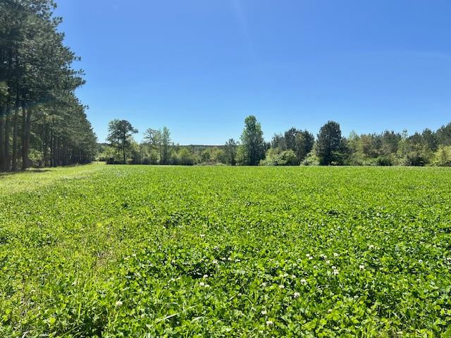 212 Beaver Dam Road Tylertown, MS 39667 - Photo 1 of 75 Main View