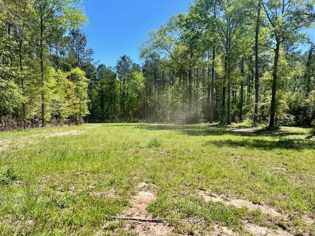 212 Beaver Dam Road Tylertown, MS 39667 - Photo 23 of 75 Photo 23