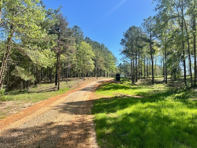 212 Beaver Dam Road Tylertown, MS 39667 - Photo 3 of 75 Photo 3