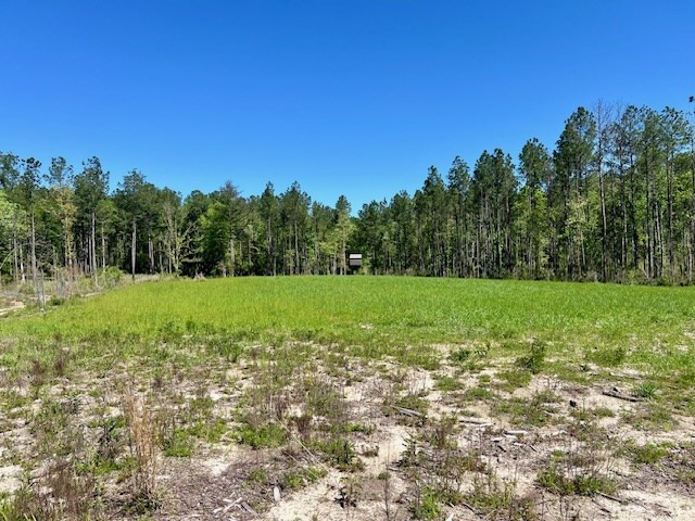 212 Beaver Dam Road Tylertown, MS 39667 - Photo 36 of 75 Photo 36