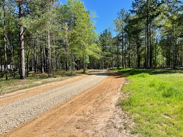 212 Beaver Dam Road Tylertown, MS 39667 - Photo 5 of 75 Photo 5