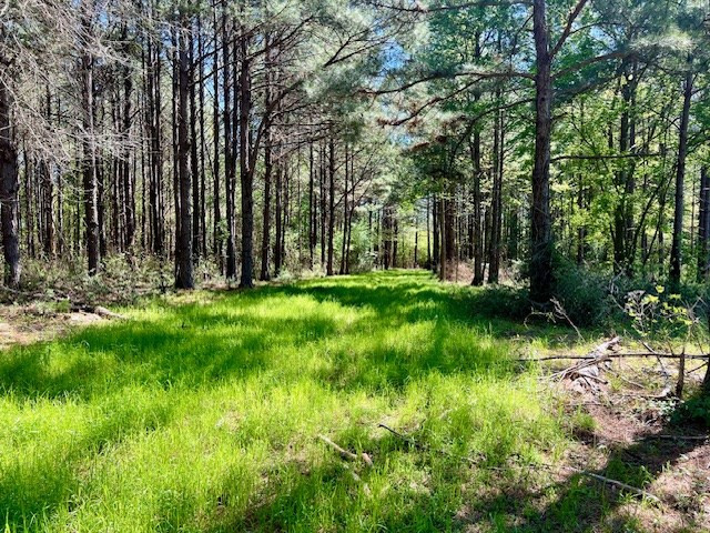 212 Beaver Dam Road Tylertown, MS 39667 - Photo 54 of 75 Photo 54