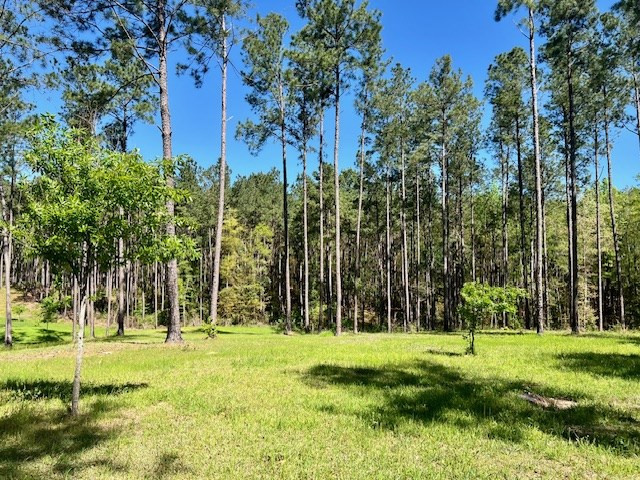 212 Beaver Dam Road Tylertown, MS 39667 - Photo 60 of 75 Photo 60