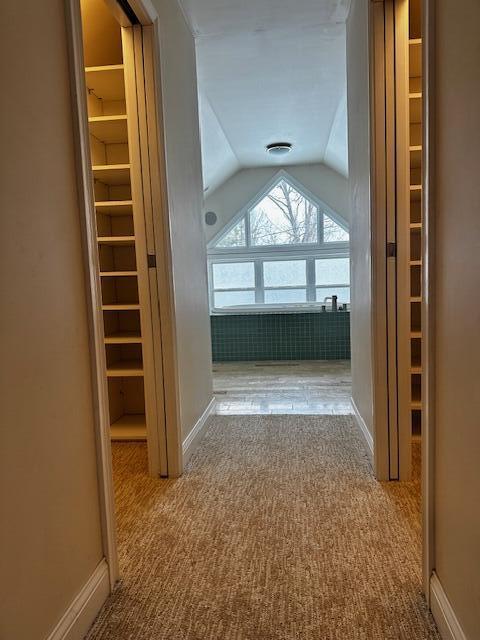 6341 Johnson Road Coloma, MI 49038 - Photo 30 of 38 floor 3 closets b