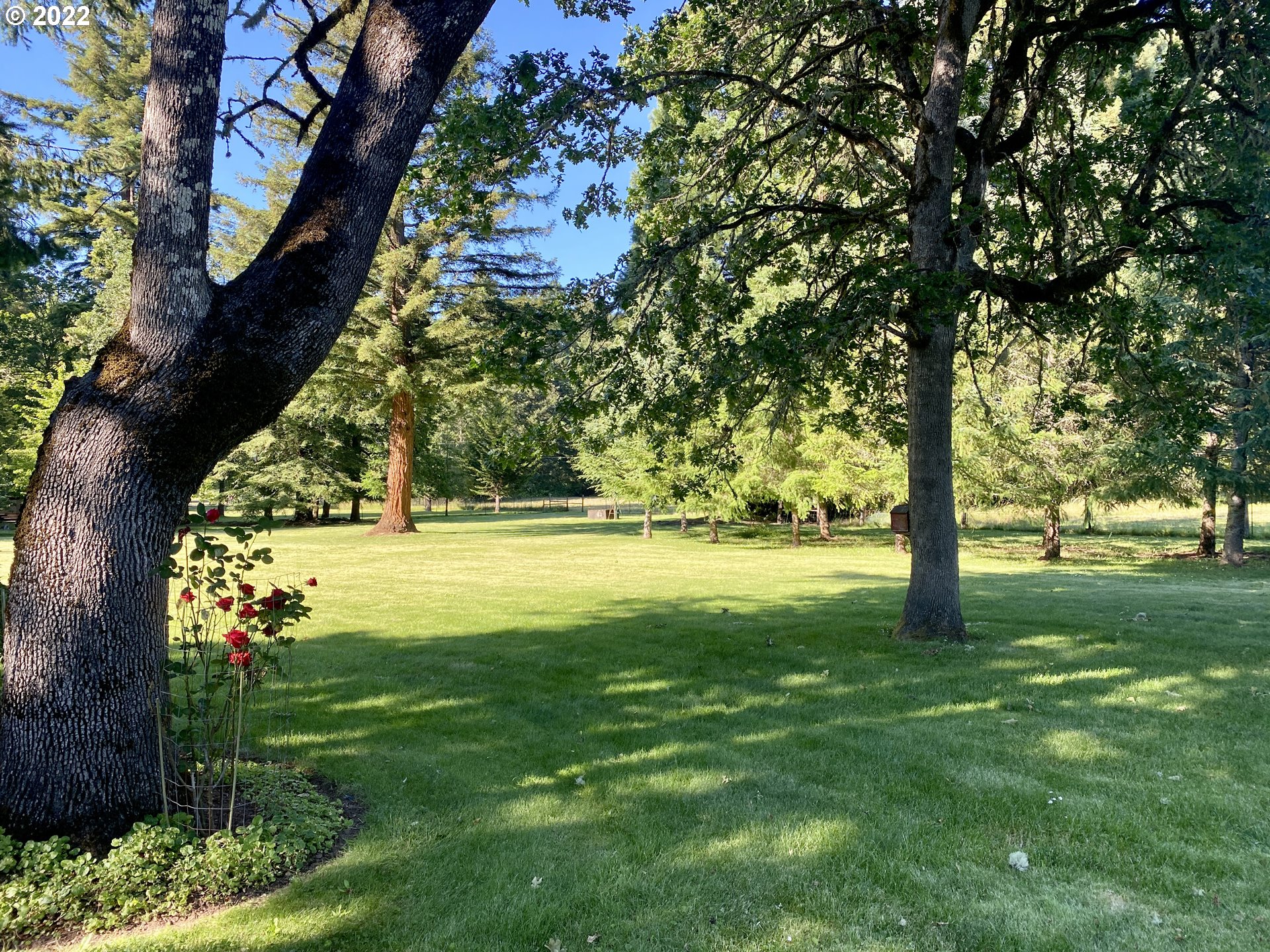 26113 Marina Road Veneta, OR 97487 - Photo 25 of 32 Gallery Image 25