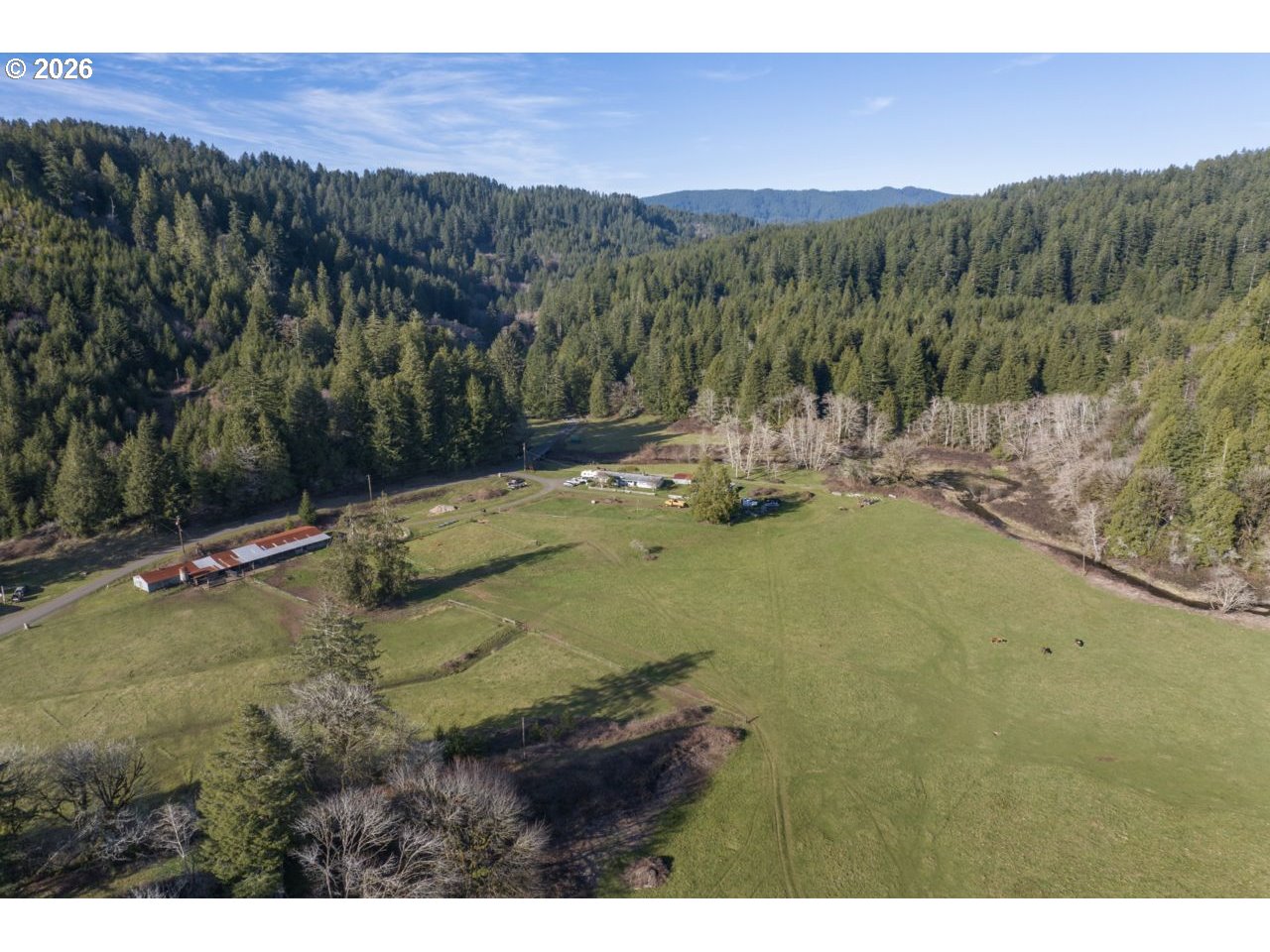 89009 Condon Creek Road Florence, OR 97439 - Photo 3 of 48