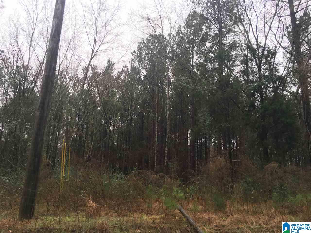 1245 Eureka Road, Unit 2 Lincoln, AL 35096 - Photo 17 of 32