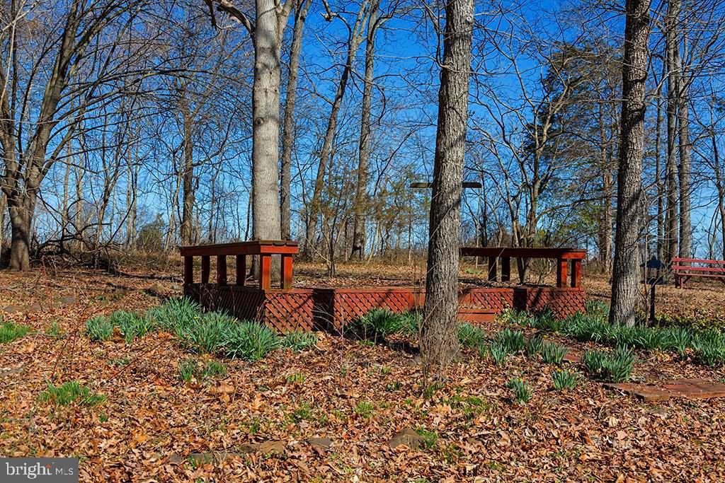 9721 Green Road Midland, VA 22728 - Photo 34 of 46 Gallery Image 34