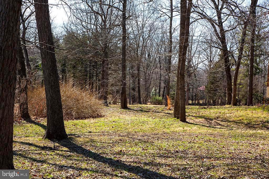 9721 Green Road Midland, VA 22728 - Photo 39 of 46 Gallery Image 39