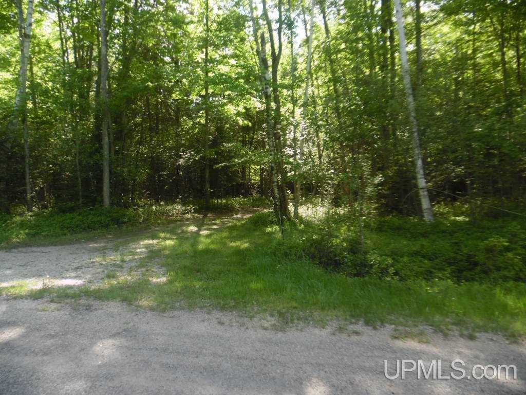 Tbd North Tbd N 75th Road, Unit 6 Gladstone, MI 49837 - Photo 12 of 13
