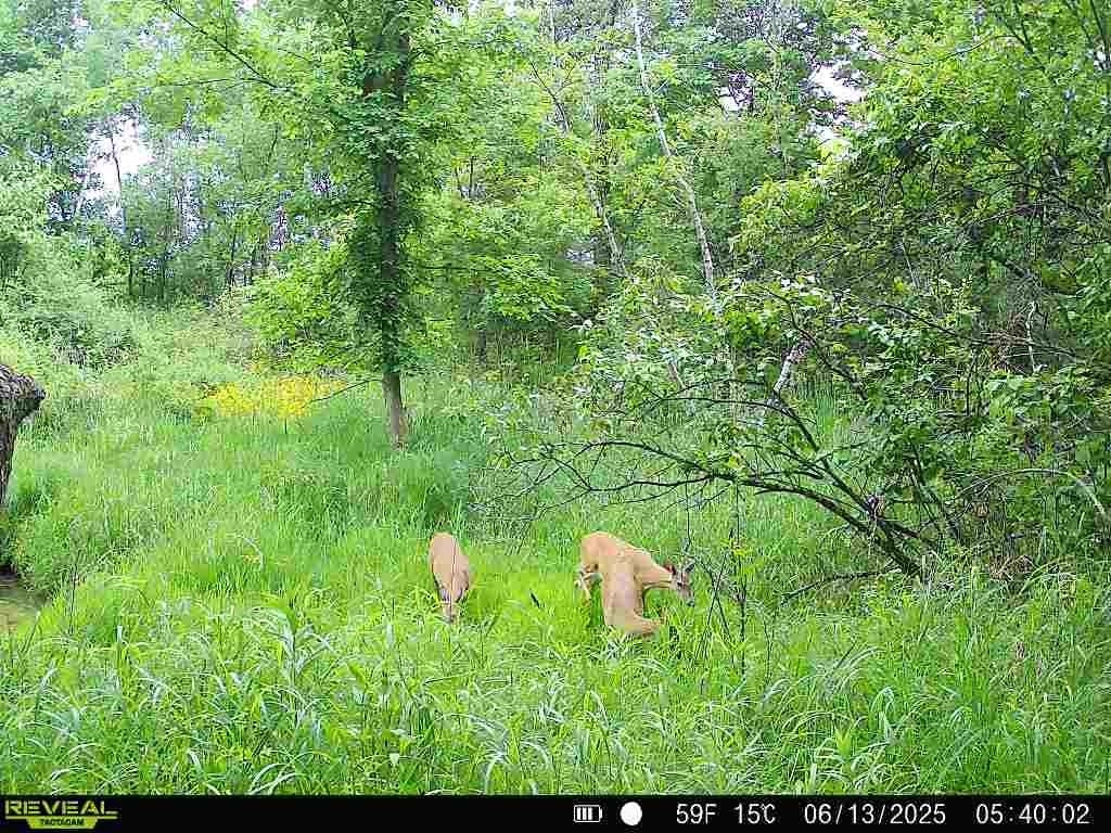 17.75-acres County Rd G Oxford, WI 53952 - Photo 21 of 56