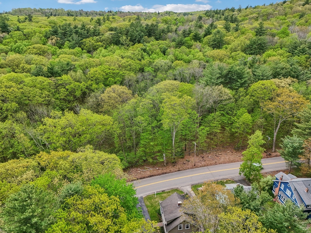 220 Olean Street Worcester, MA 01602 - Photo 30 of 39