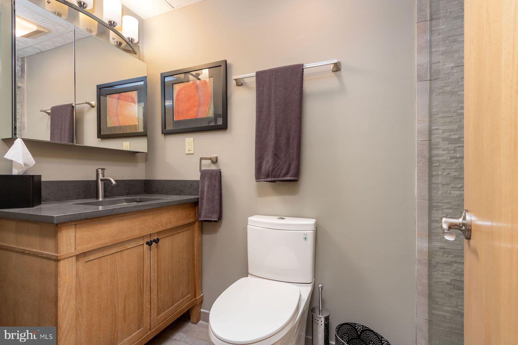 272 Headquarters Road Erwinna, PA 18920 - Photo 47 of 68 Lower level full bath