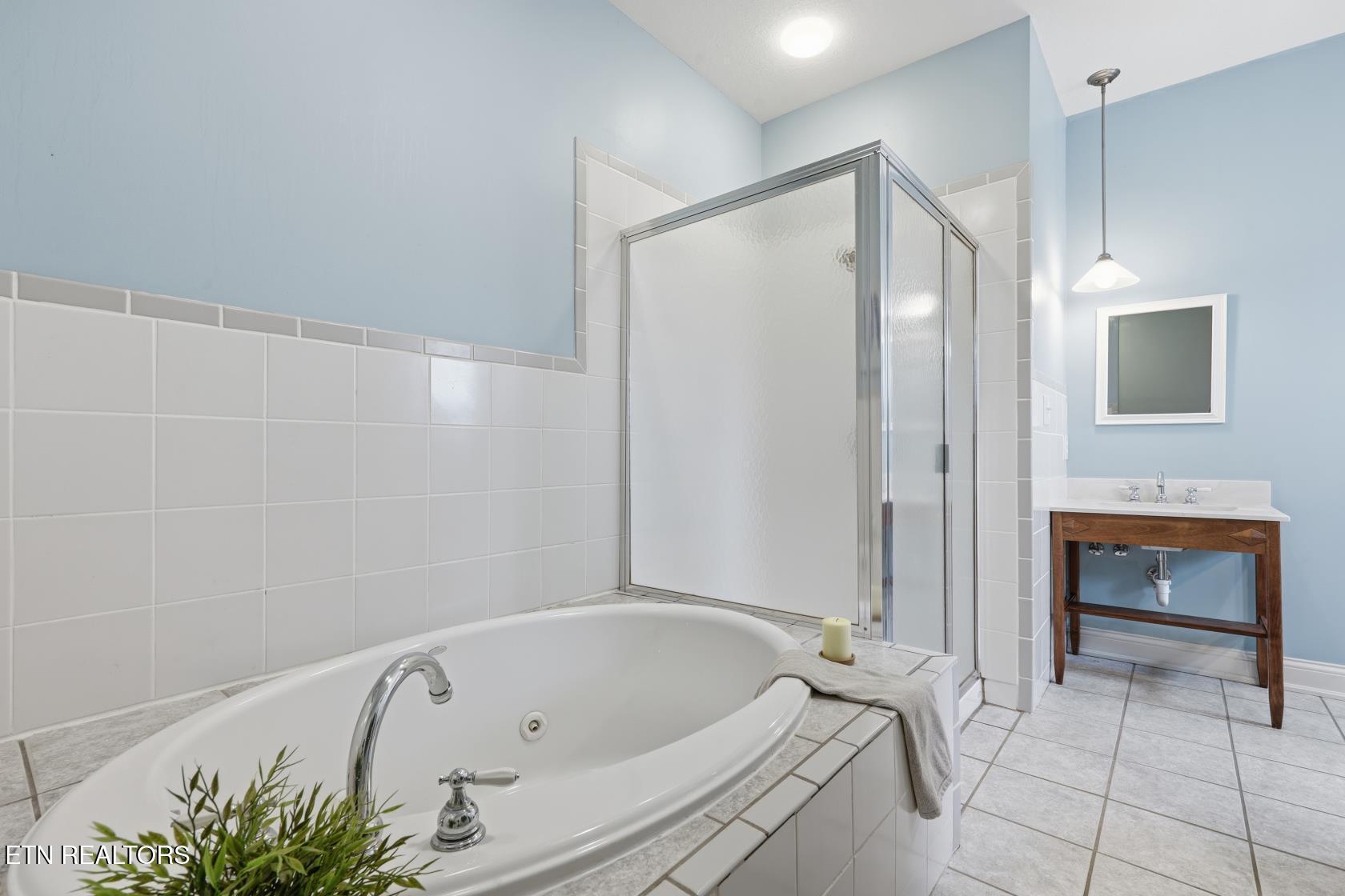 2227 Paint Rock Ferry Road Kingston, TN 37763 - Photo 12 of 28 Primary Bath