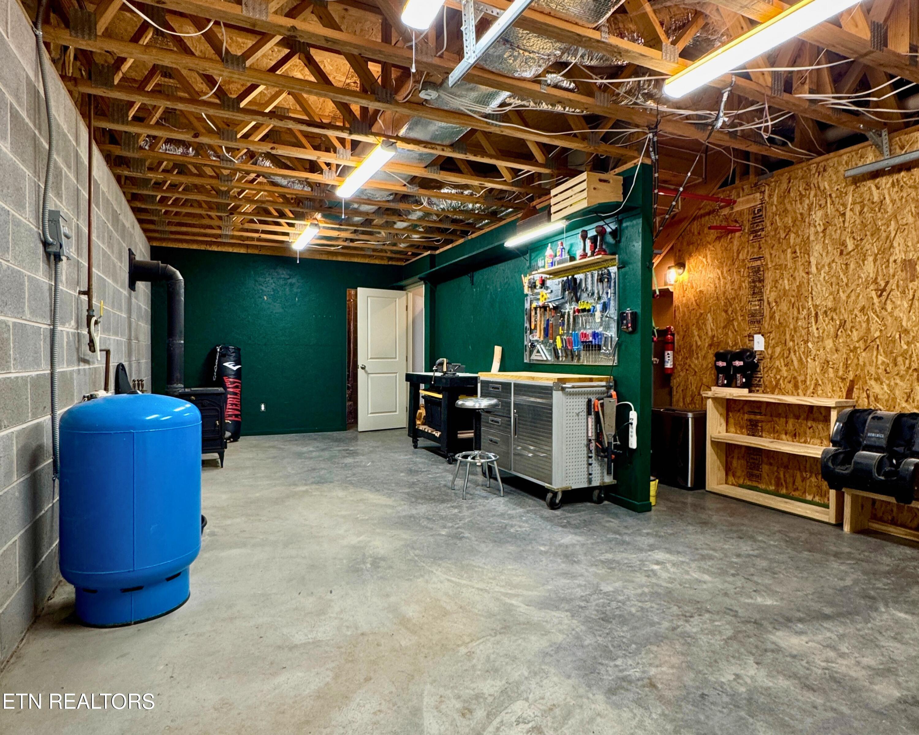 2227 Paint Rock Ferry Road Kingston, TN 37763 - Photo 24 of 28 Workshop Garage Space Basement Level