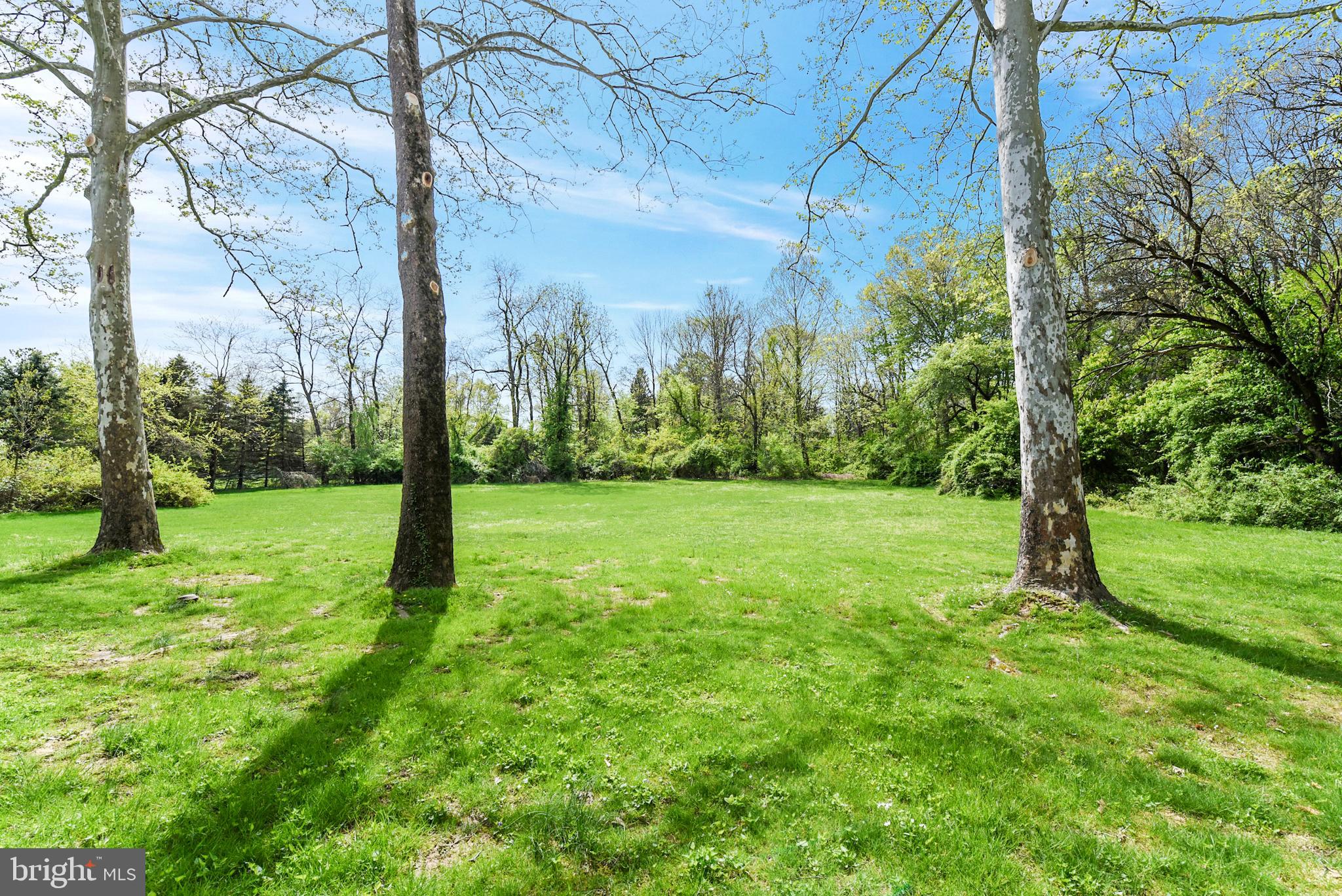 4432 Province Line Road Princeton, NJ 08540 - Photo 4 of 19 Gallery Image 4