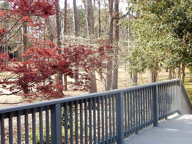 42 Juniper Loop Aiken, SC 29803 - Photo 38 of 40