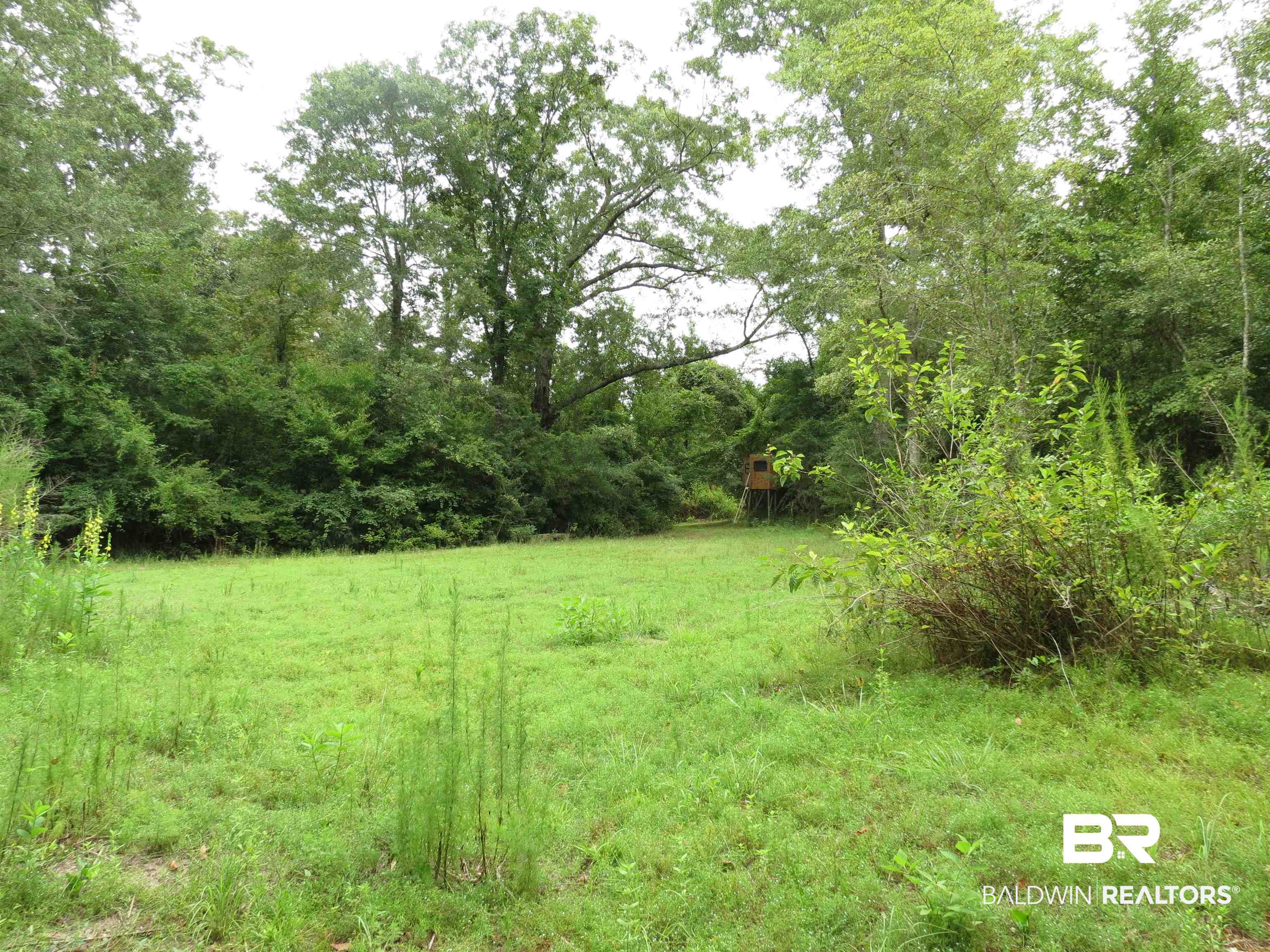 1045 Poole Road Castleberry, AL 36432 - Photo 23 of 27 Poole Road