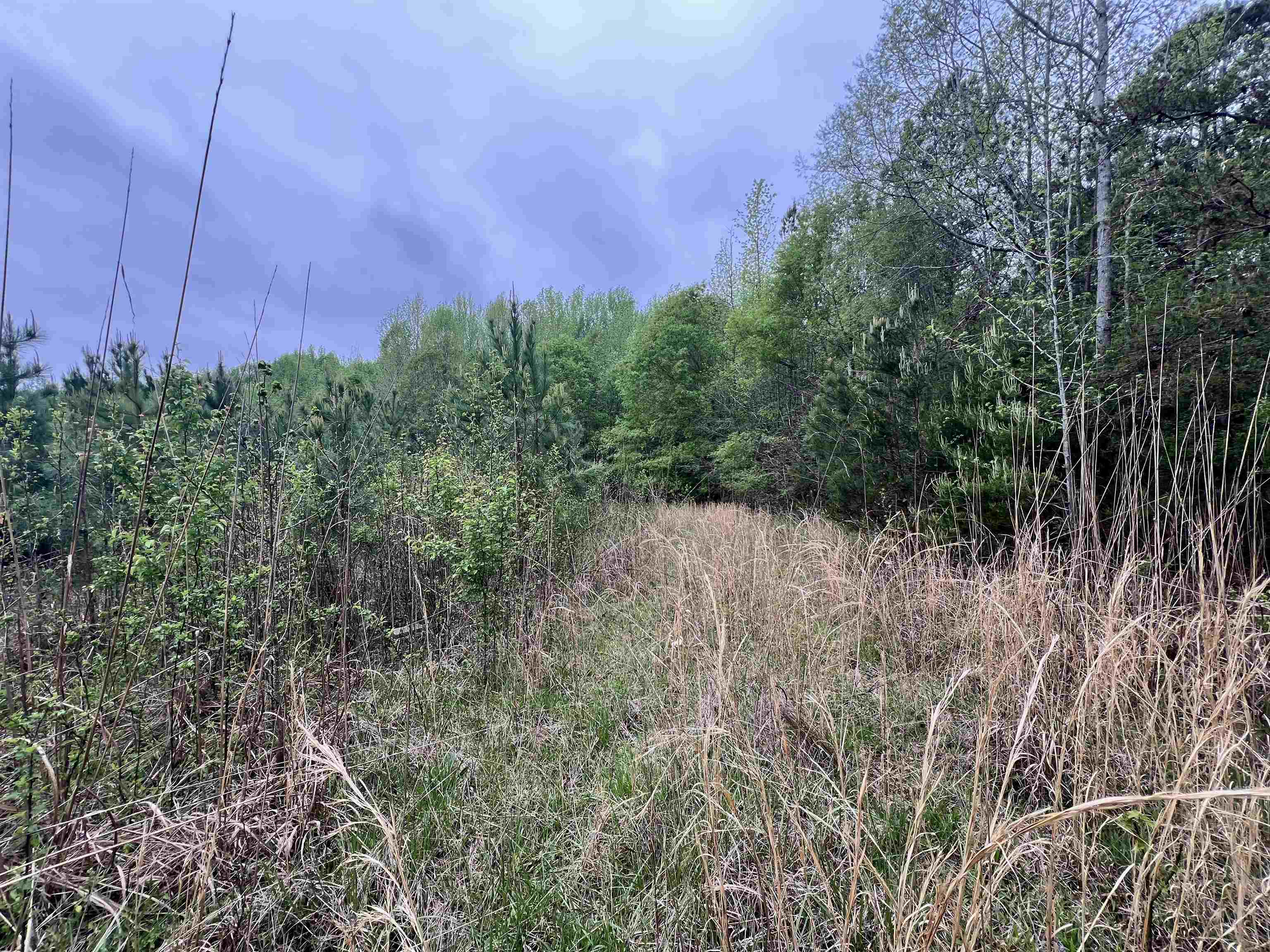 639 Settle Road Inman, SC 29349 - Photo 3 of 9