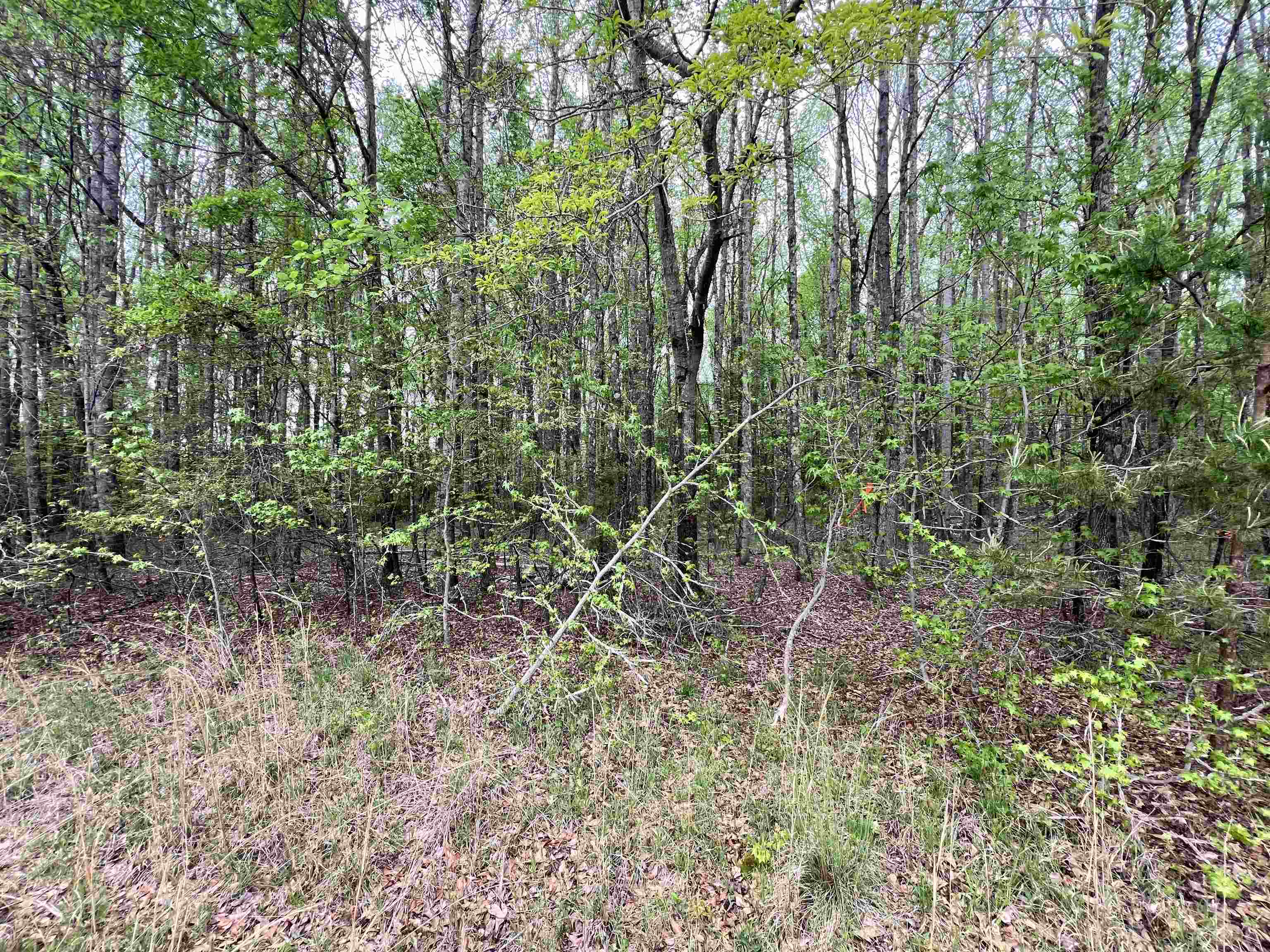 639 Settle Road Inman, SC 29349 - Photo 4 of 9