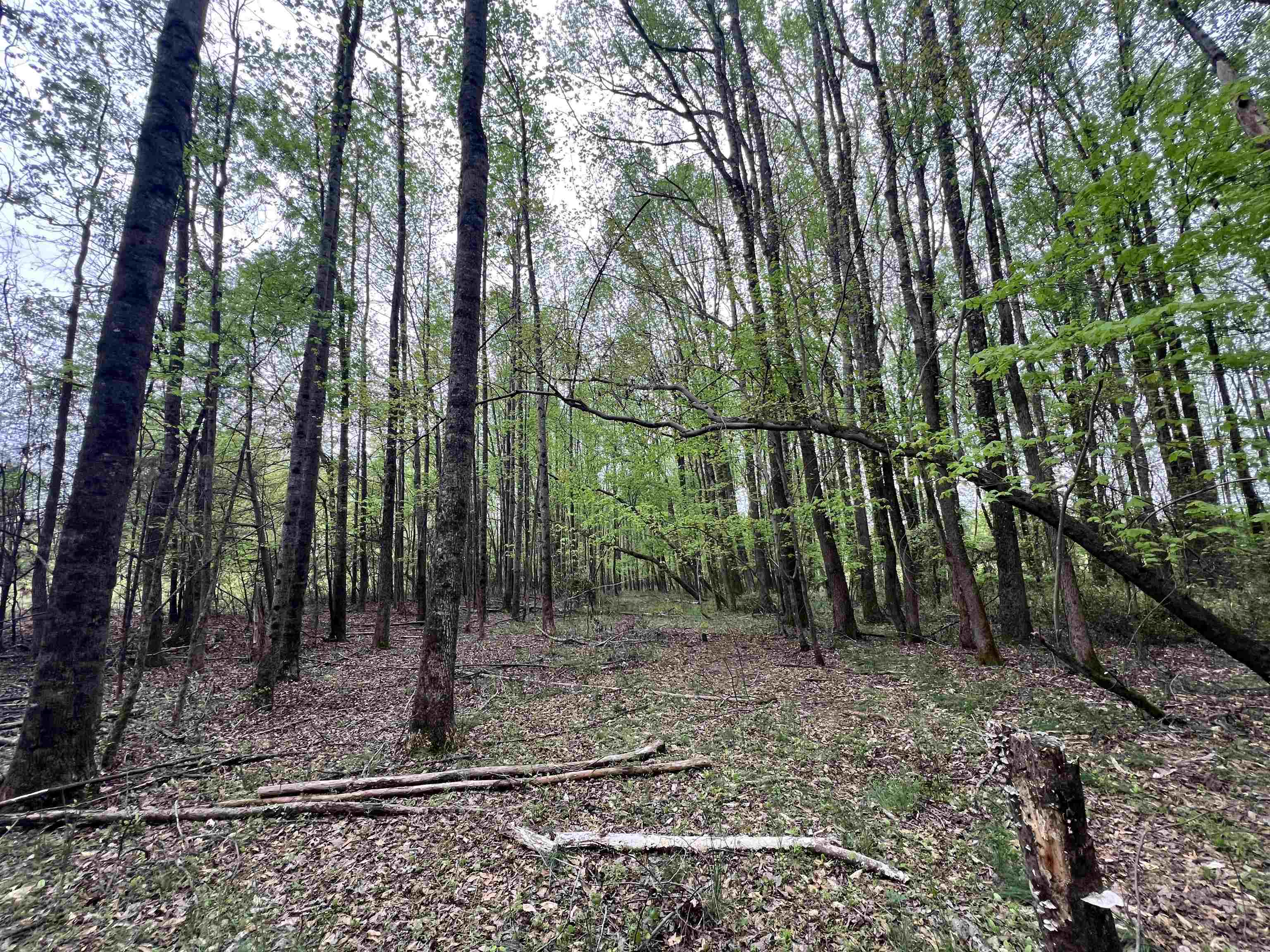 639 Settle Road Inman, SC 29349 - Photo 7 of 9