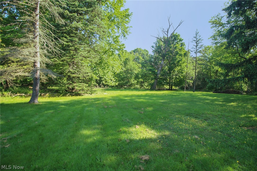 4113 Burgett Road Canfield, OH 44406 - Photo 25 of 31 View of yard