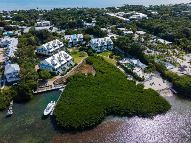 an aerial view of a residential houses with outdoor space and trees