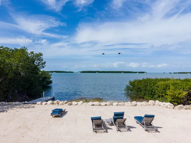 a view of livingroom with furniture and wooden floor