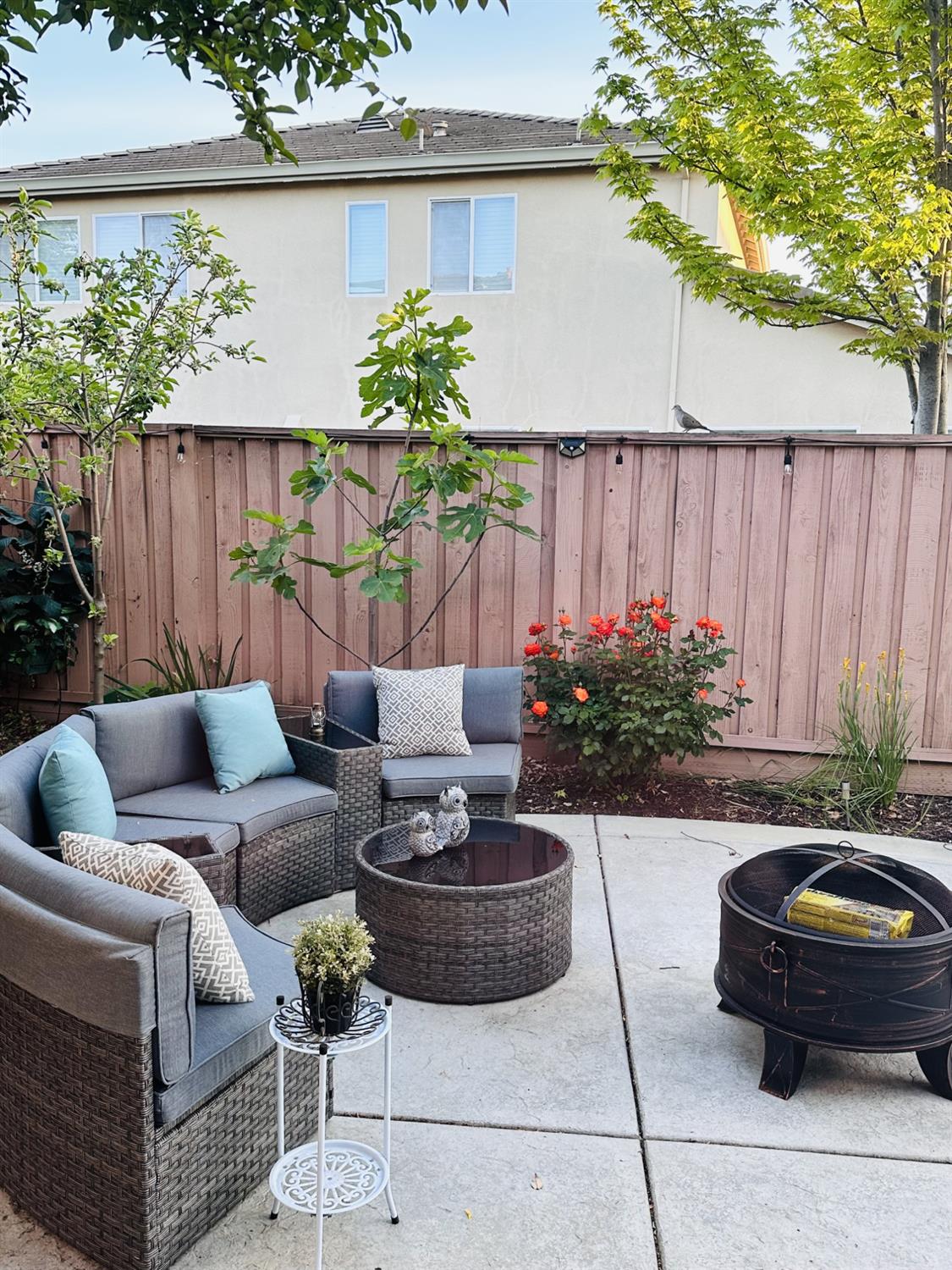 3710 Huntington Road West Sacramento, CA 95691 - Photo 45 of 46 a living room with furniture and a potted plant