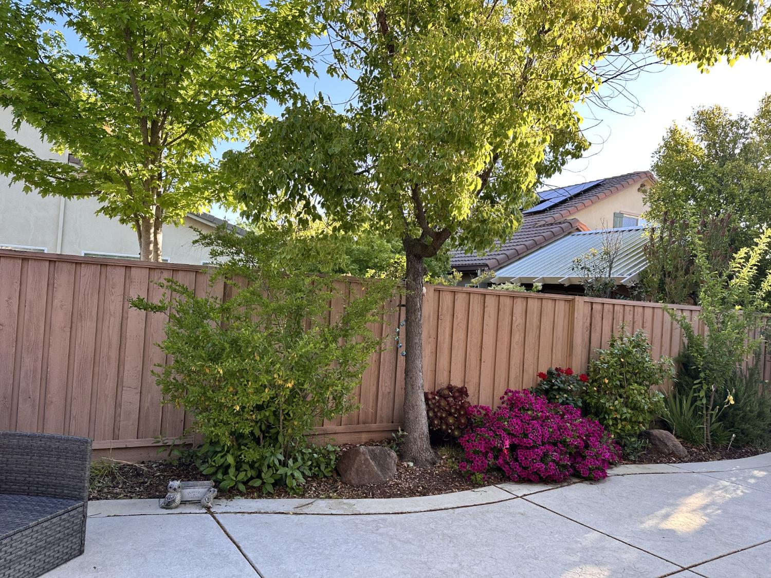 3710 Huntington Road West Sacramento, CA 95691 - Photo 46 of 46 a view of a backyard with potted plants and large tree