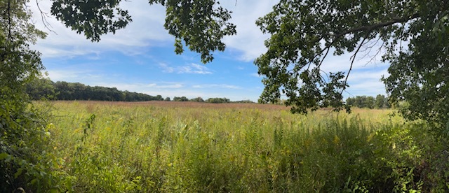 5N890 Surrey Road Wayne, IL 60184 - Photo 39 of 52