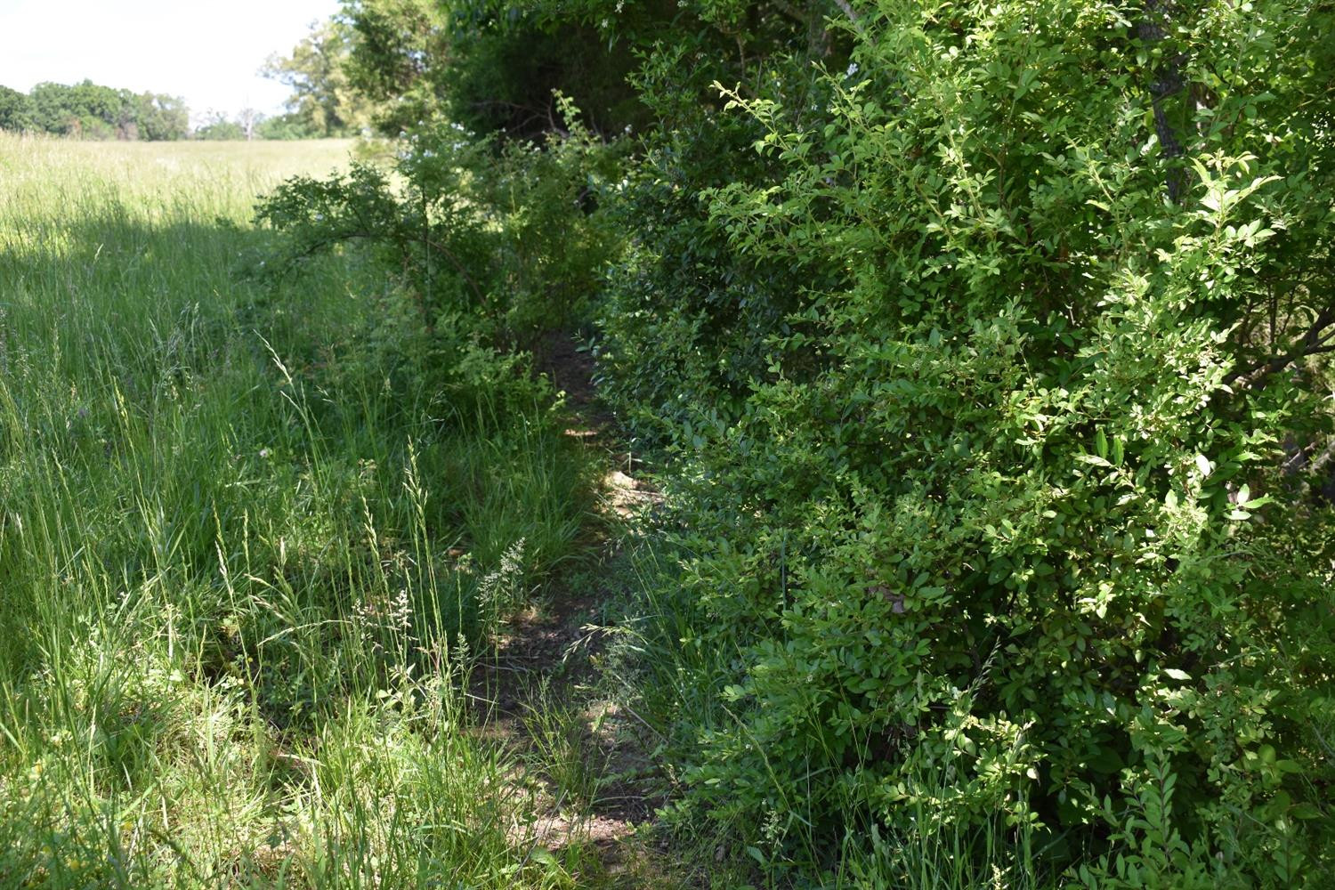 1 Box Ankle Road Richmond, KY 40475 - Photo 12 of 34 Photo 13