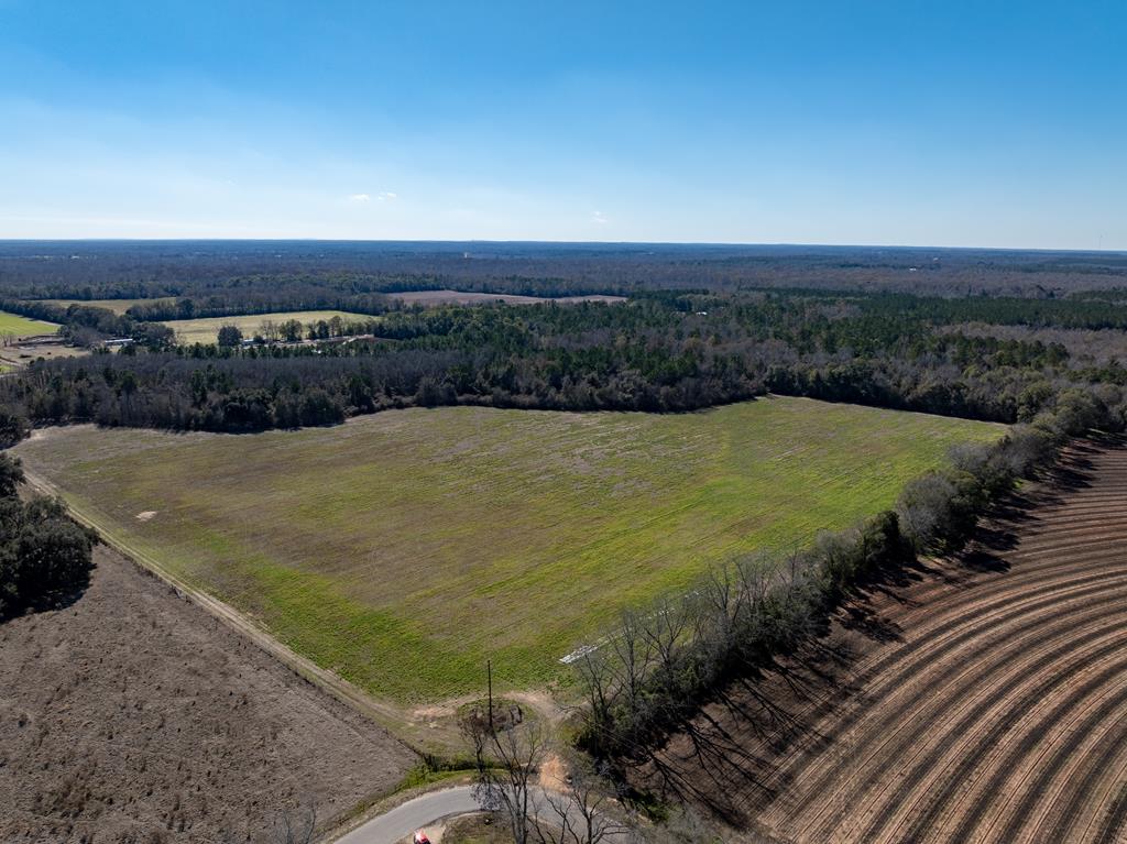 31.5-ac 31.5-ac Rammer Loop Road Dothan, AL 36301 - Photo 12 of 49