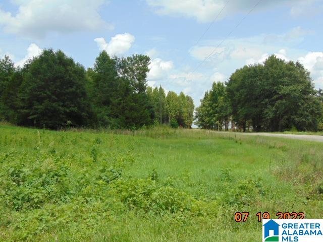 0 County Road 501 Verbena, AL 36091 - Photo 1 of 6