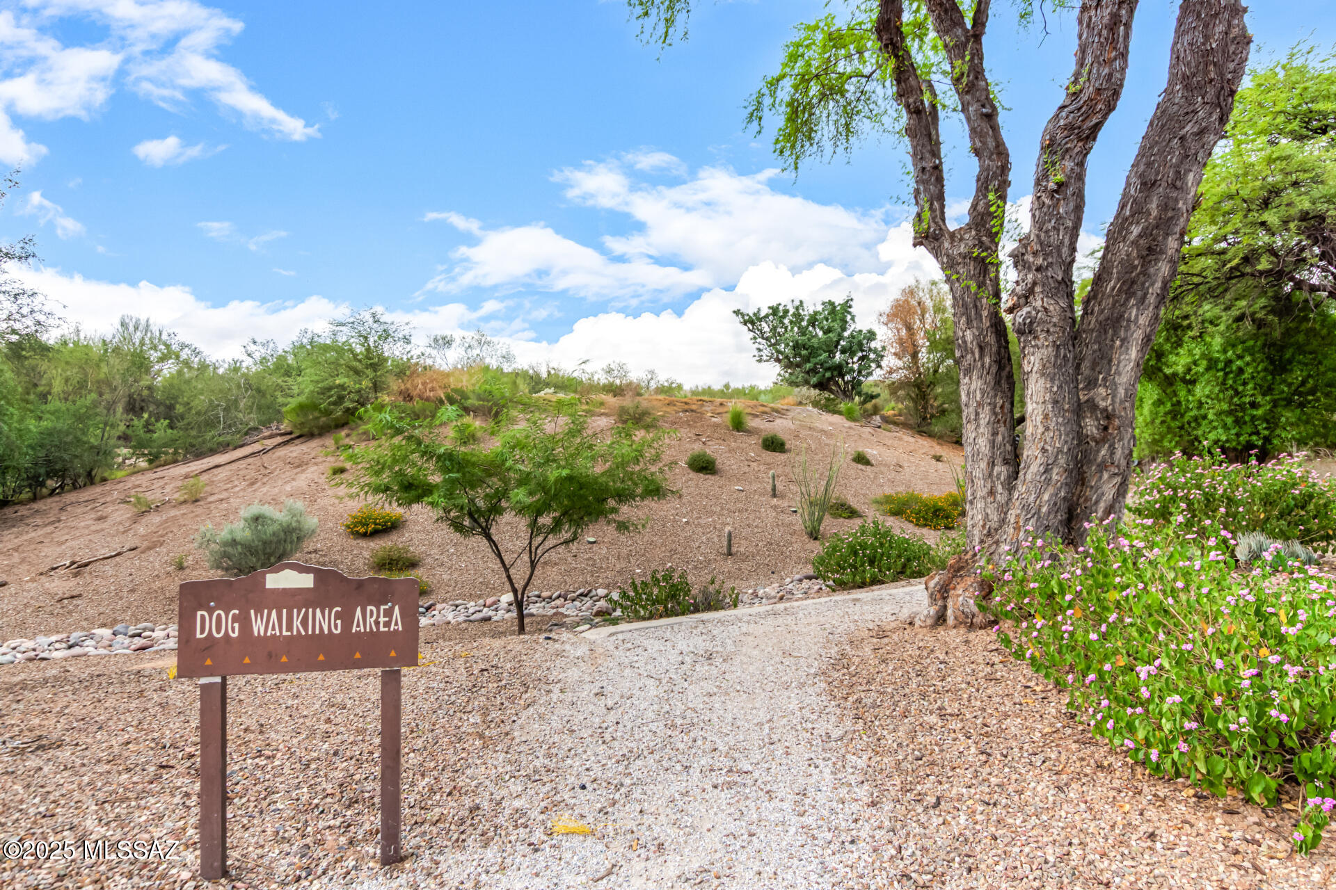 5855 North Kolb Road, Unit 8102 Tucson, AZ 85750 - Photo 17 of 28 a view of a sign board with street