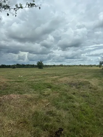 $2,900,000 | 0 Orange Hill Road, Sealy, TX 77474