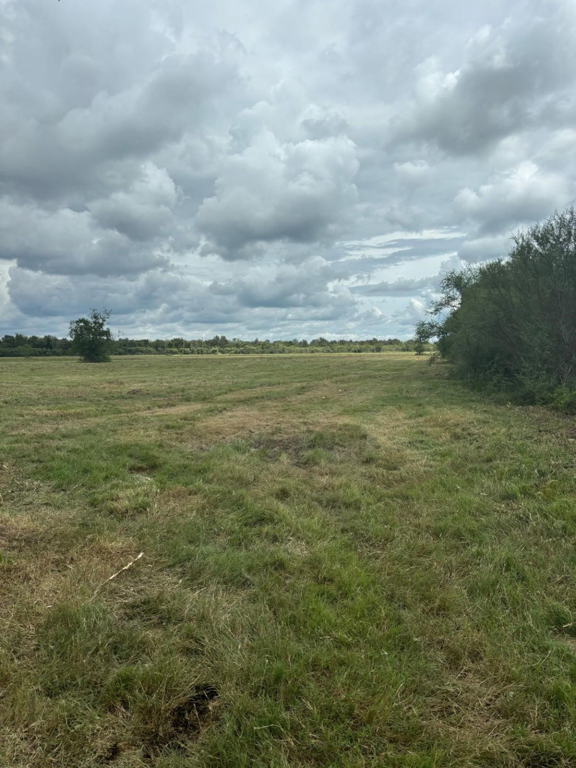 0 Orange Hill Road Sealy, TX 77474 - Photo 2 of 6