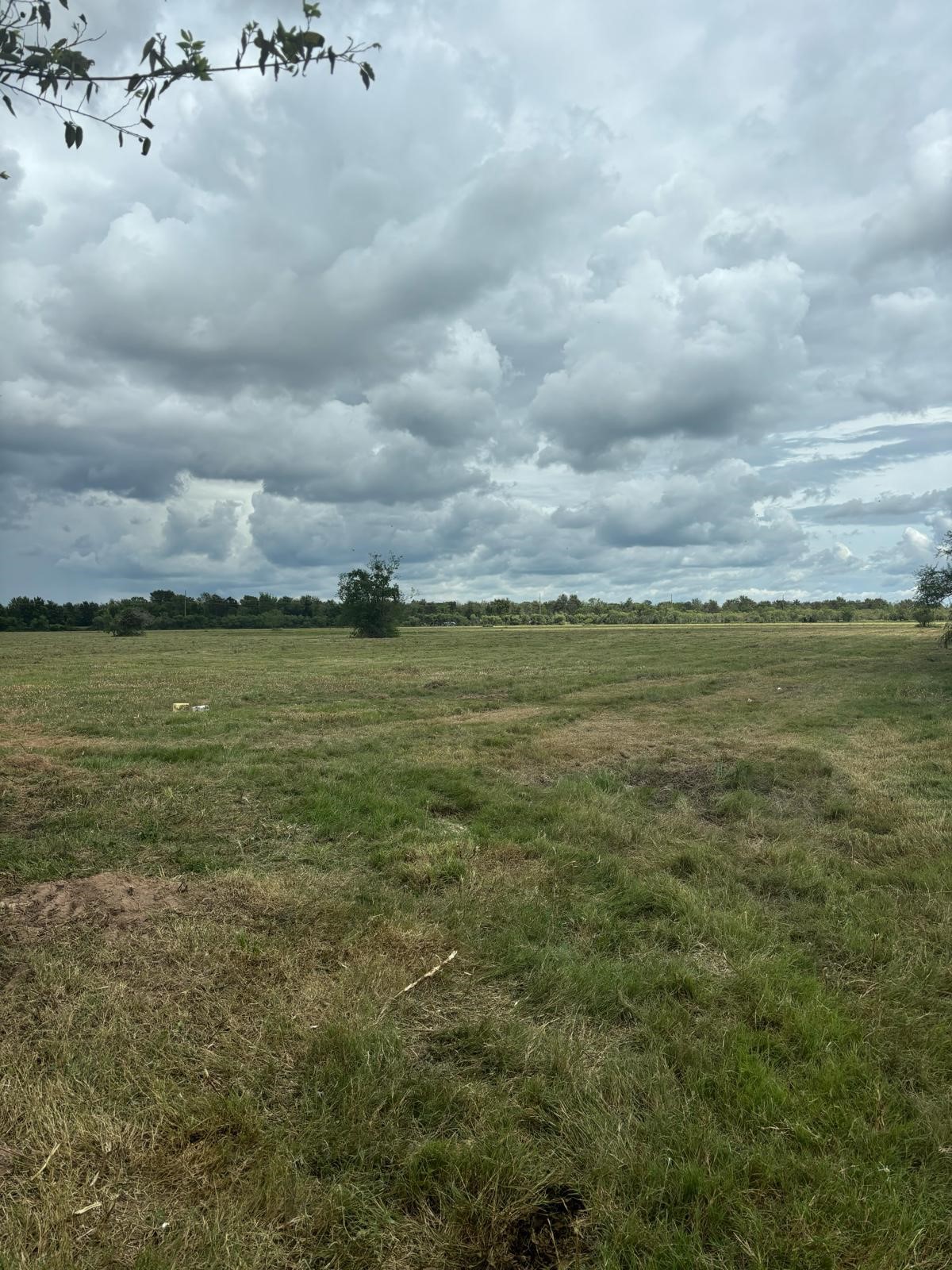 0 Orange Hill Road Sealy, TX 77474 - Photo 3 of 6