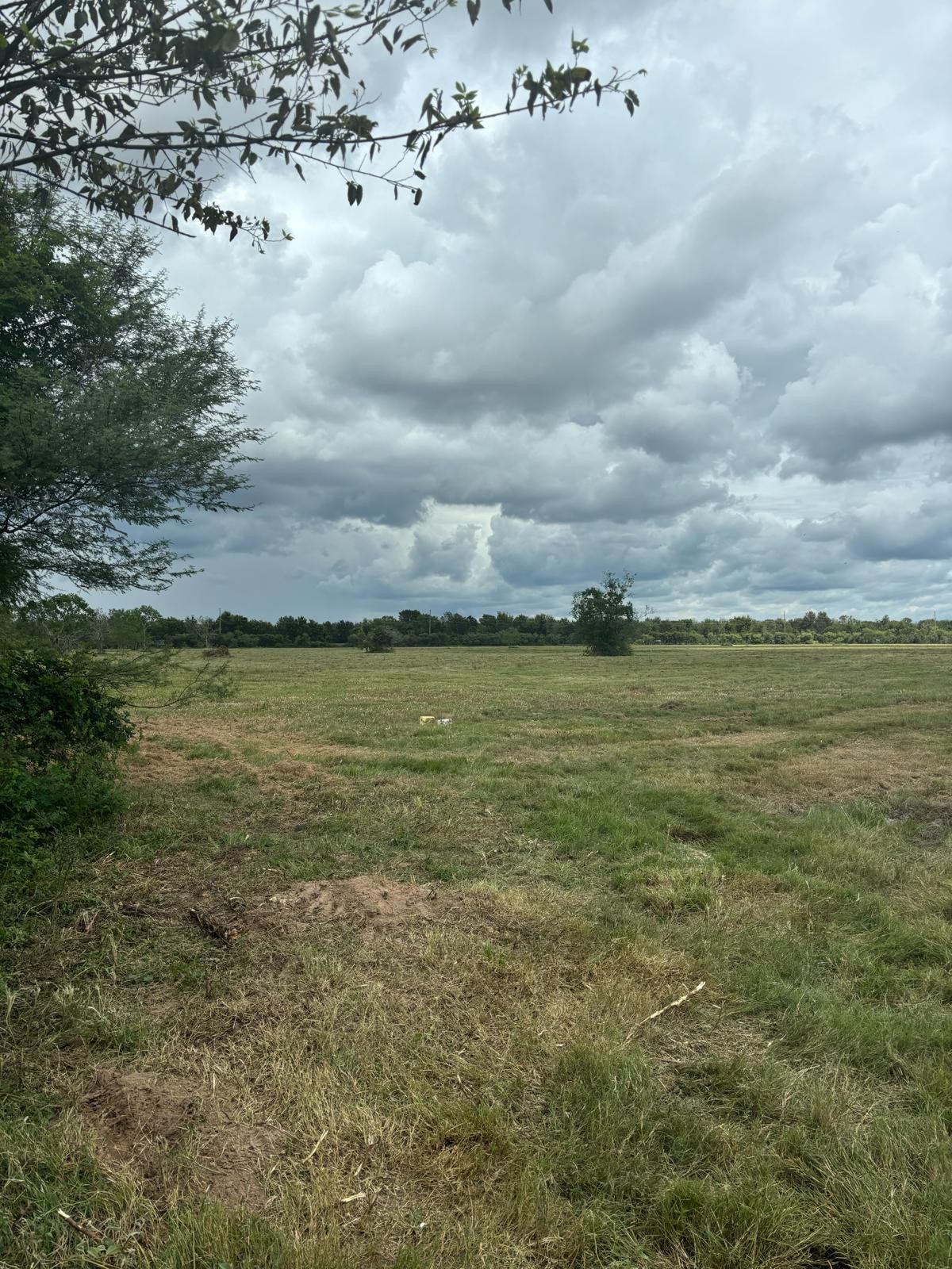 0 Orange Hill Road Sealy, TX 77474 - Photo 6 of 6 a view of a sky from the yard