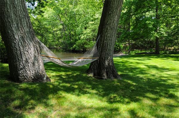 113 Cliff Road Wellesley, MA 02481 - Photo 20 of 25 a view of a garden with a tree