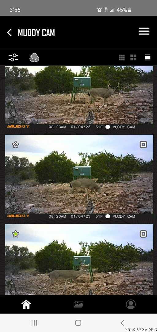 752 Sd 46061 Del Rio, TX 78840 - Photo 3 of 11 a view of a floor to a park