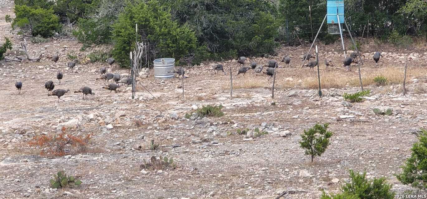752 Sd 46061 Del Rio, TX 78840 - Photo 5 of 11 a view of open space with a garden